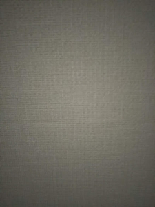 191009