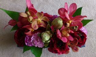 20110508.jpg