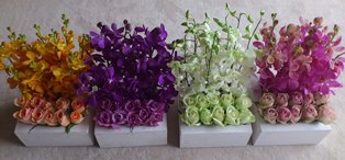 20110513.jpg