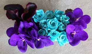 20120509.jpg