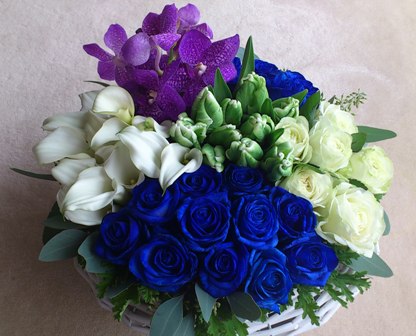 2012120101.jpg