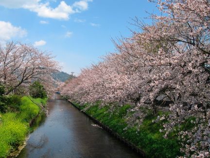 (1027424) エコノミータイプ 橋本 460×200mm 受注単位1 ####■〒橋本クロス/ 1本 ホルダー付 【E46150】 制御盤フィルター