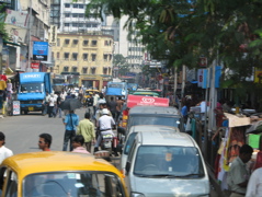 crowed