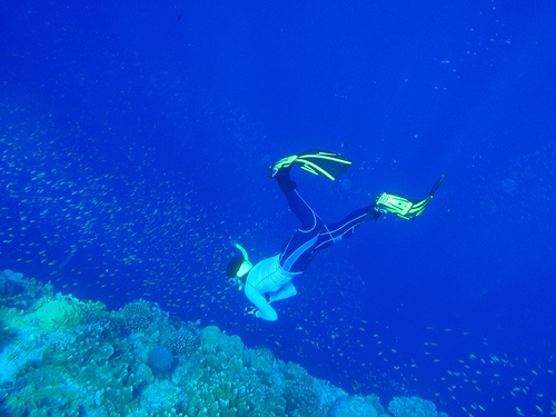 魚と女と珊瑚