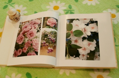 野の花鍼灸院