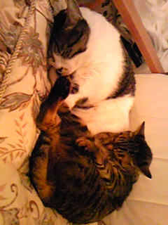 071201_224706.jpg
