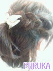 20090417080047.jpg