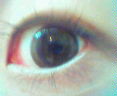 20090618221653.jpg