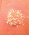 20100331090232.jpg