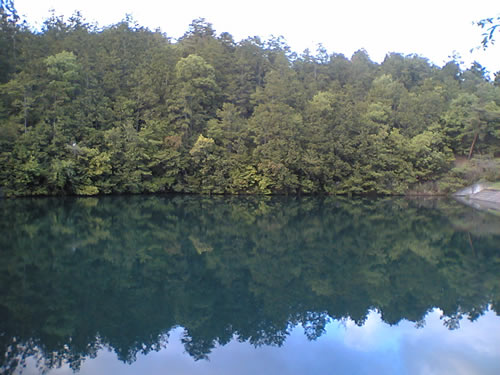 近所の池