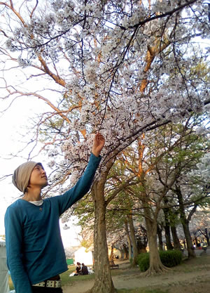 桜2009
