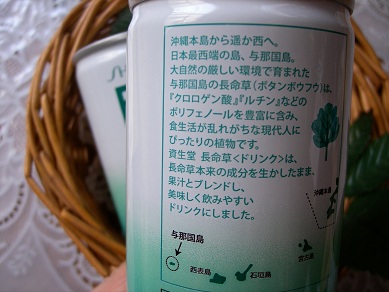 長命草 効果 効能
