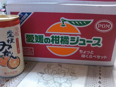 愛媛 POM