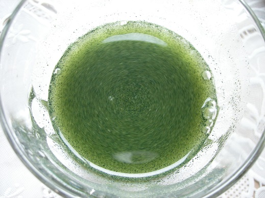 アルマード 卵殻膜