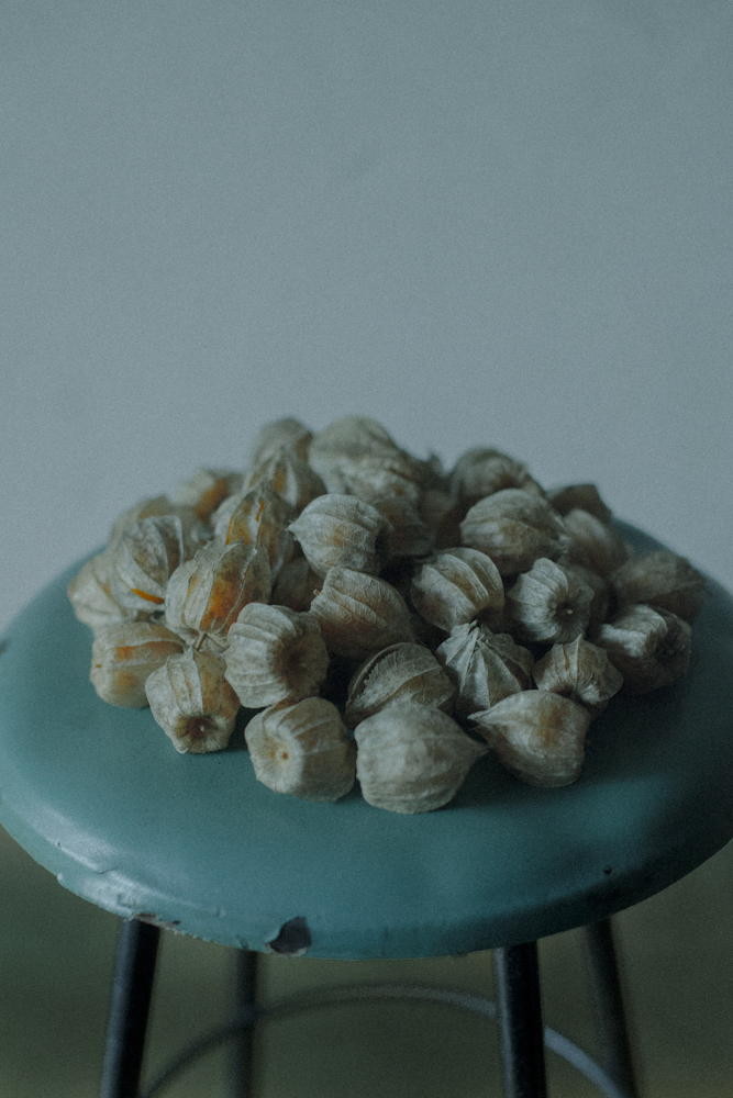 1019-001.jpg