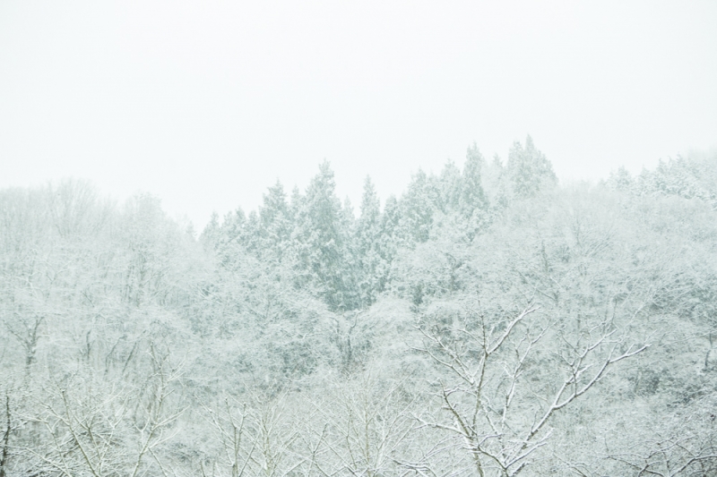_P0A0128.jpg