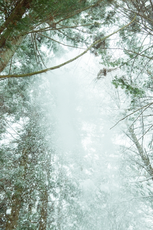 _P0A8442.jpg