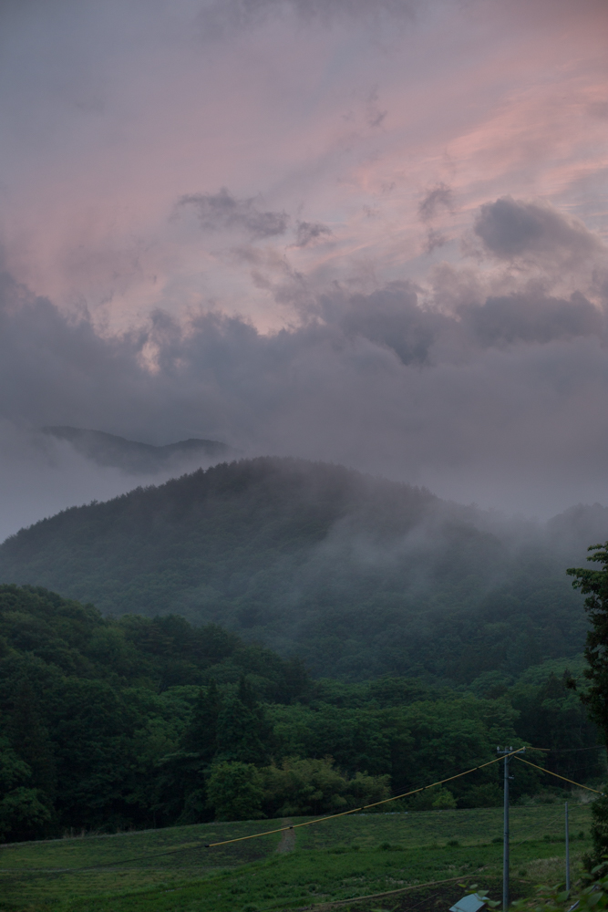 _P0A5162.jpg