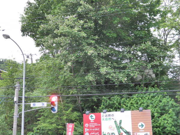 ばんけい