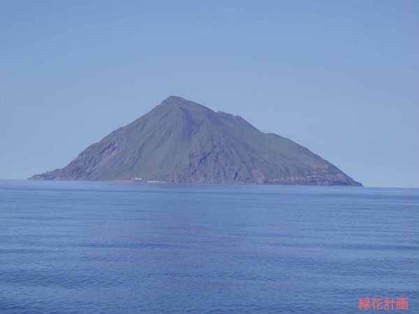 近景