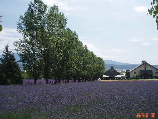 ファーム富田