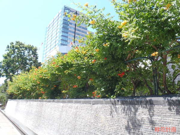 全景