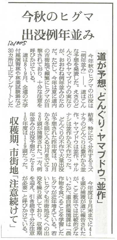 ドングリ