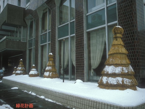 七五三