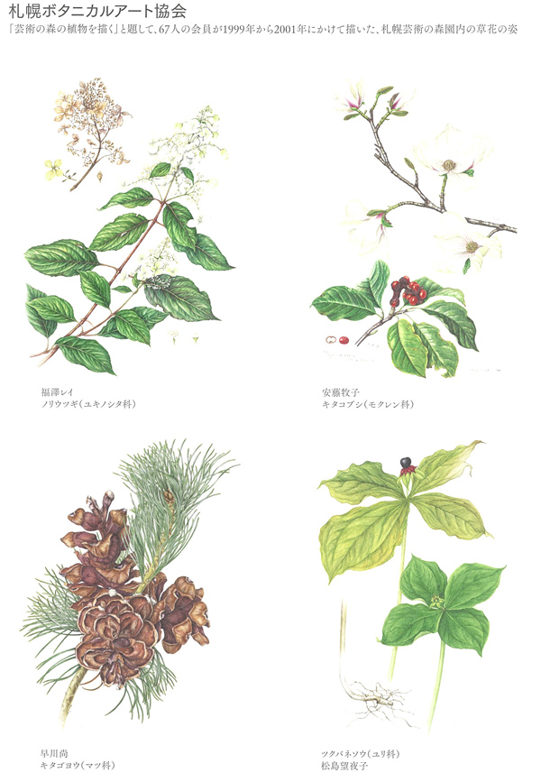 芸術の森