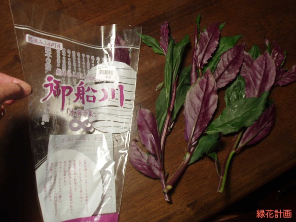 水前寺菜