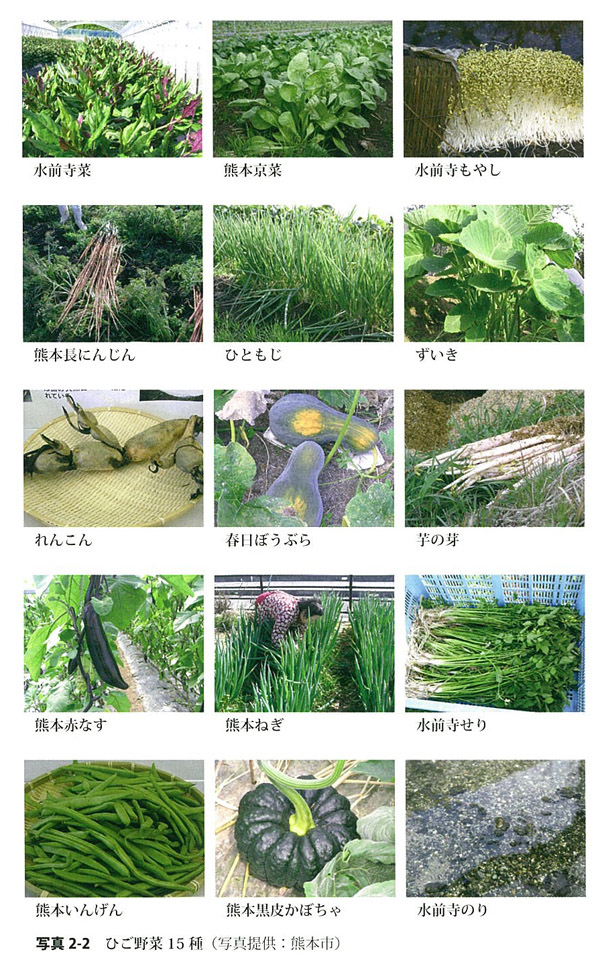 肥後野菜