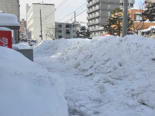 排雪