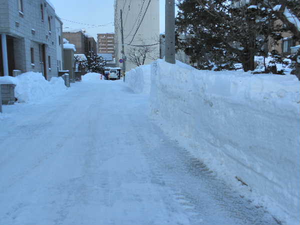 排雪朝