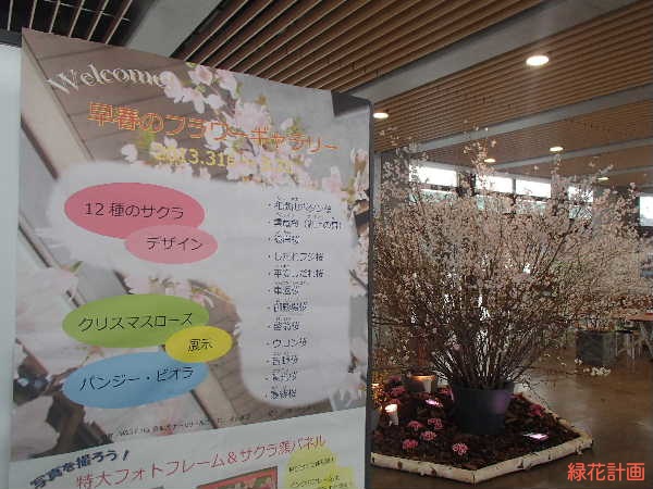 入り口