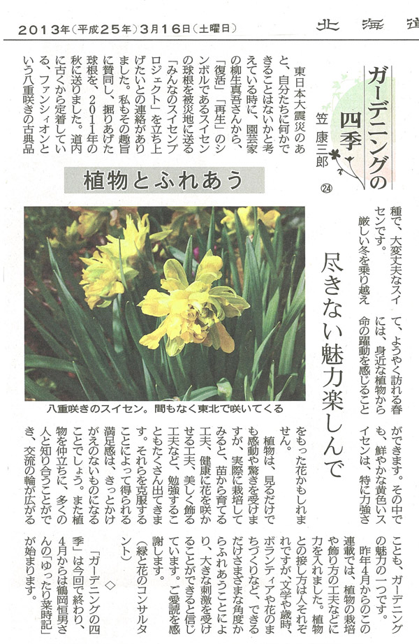 道新記事