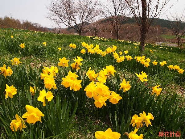 玉川公園