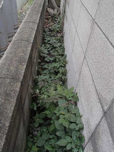 すき間