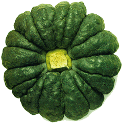 冬至カボチャ 青柳庵日記