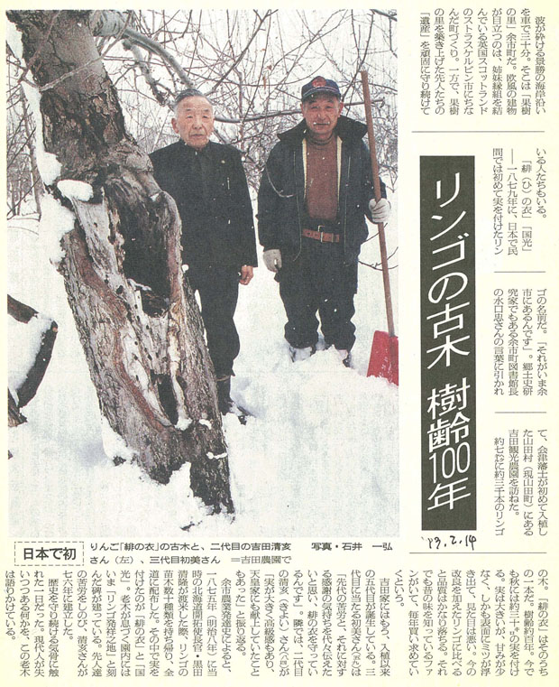 吉田農園