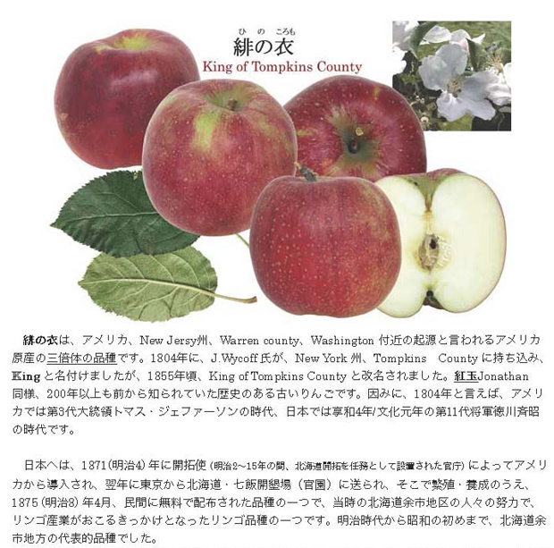 緋の衣