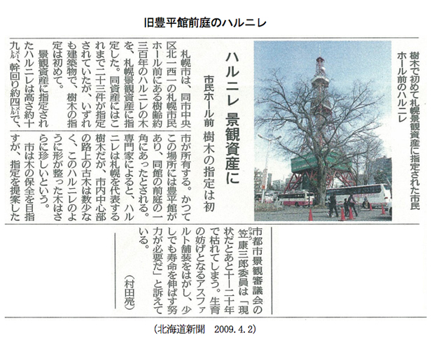 次世代に引き継ぐ古木たち | 青柳庵日記