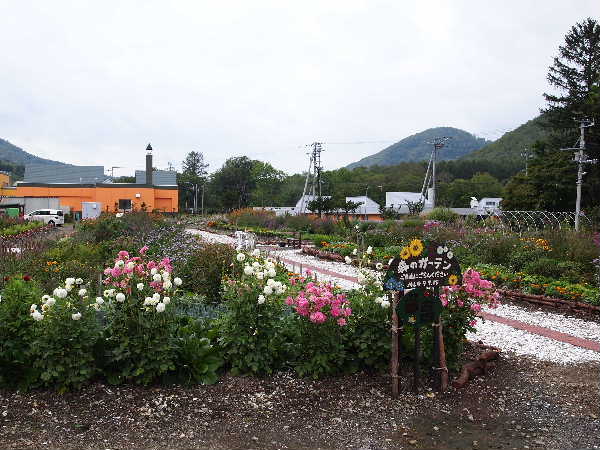 花壇
