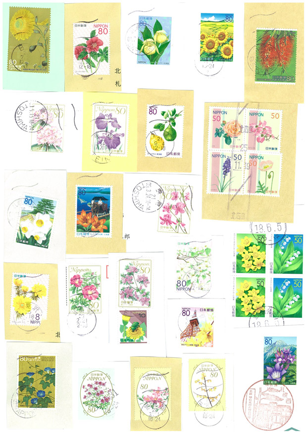 花系