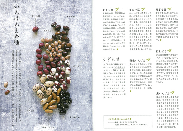 インゲン豆1