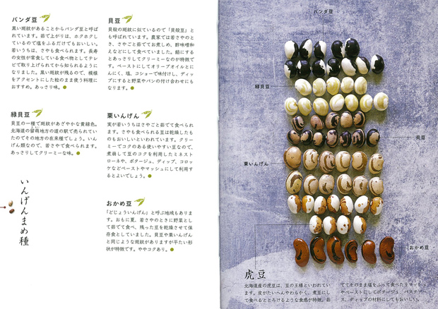 インゲン豆2