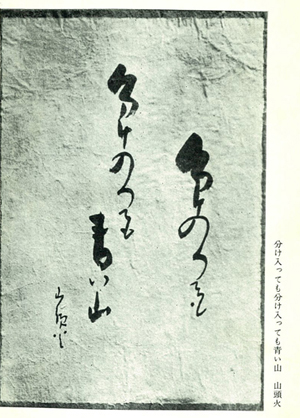 分け入っても