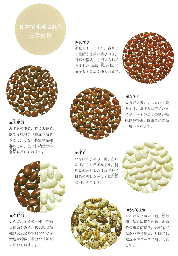 豆1