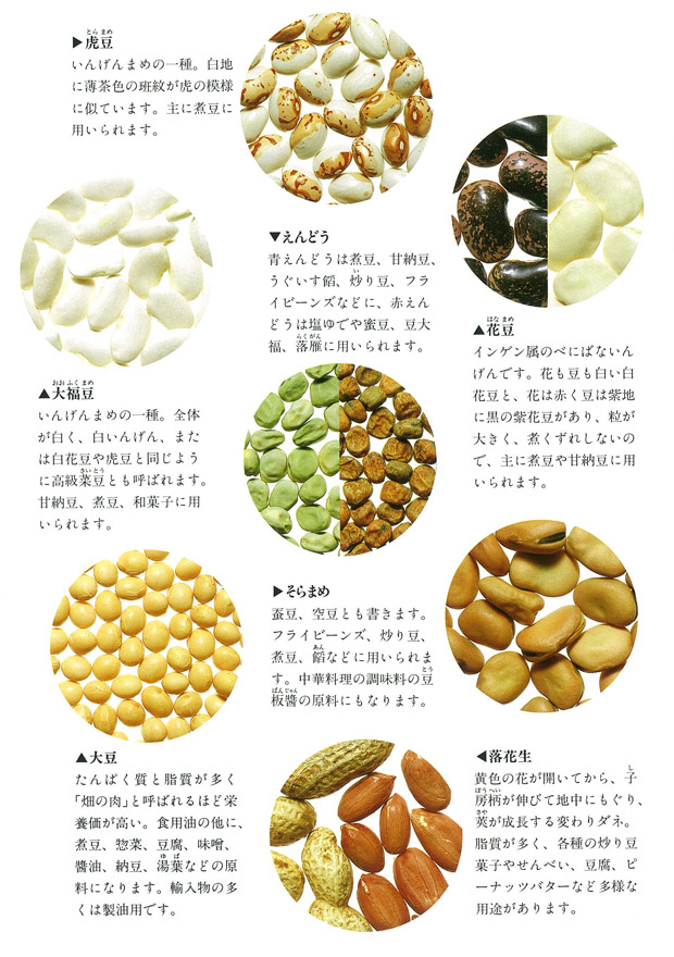 豆2