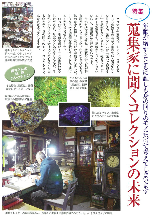 コレクター1