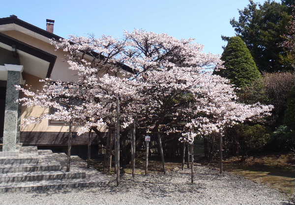 5年前